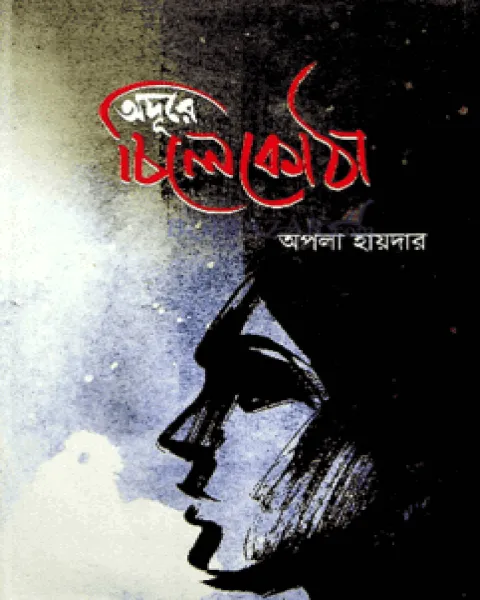 অদূরে চিলেকোঠা (হার্ডকভার)